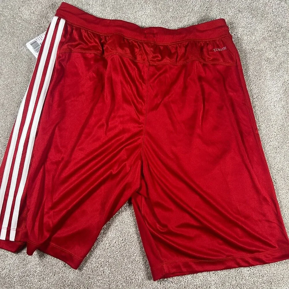 Adidas Mens Large Red University‎ Of Louisville Cardinals Basketball Shorts NWT